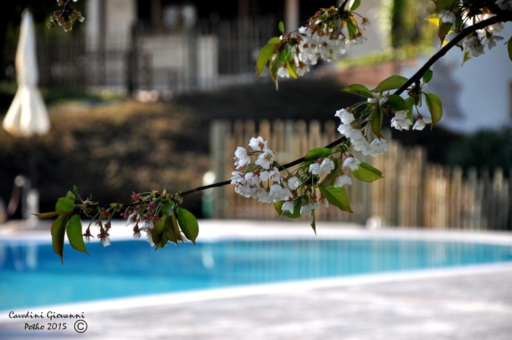 Agriturismo & Agricamping Serena パストレンゴ エクステリア 写真