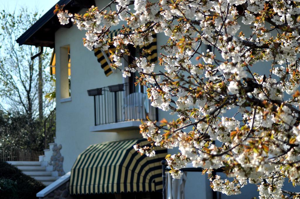 Agriturismo & Agricamping Serena パストレンゴ エクステリア 写真